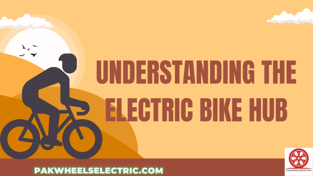 Understanding the bird Electric Bike