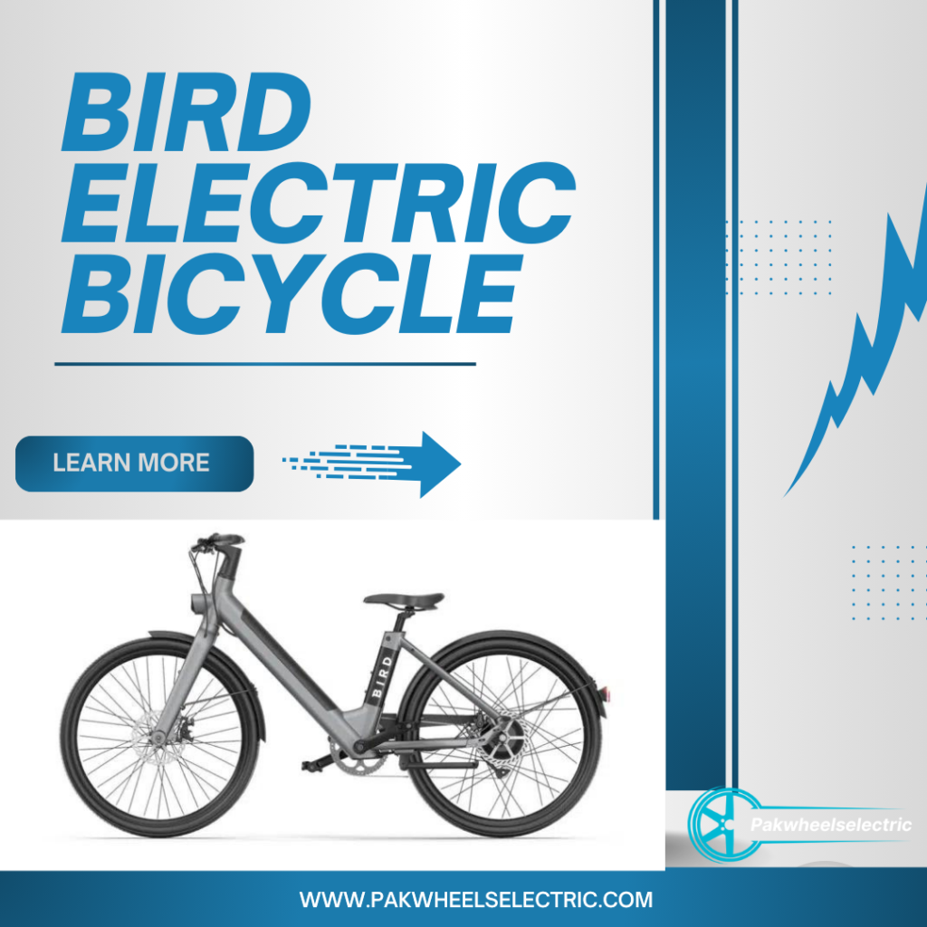 bird electric bike