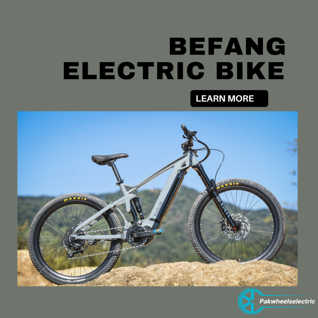 Befang electric bike model