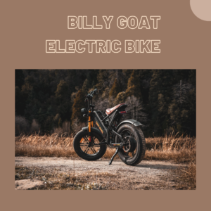 billy goat electric bike