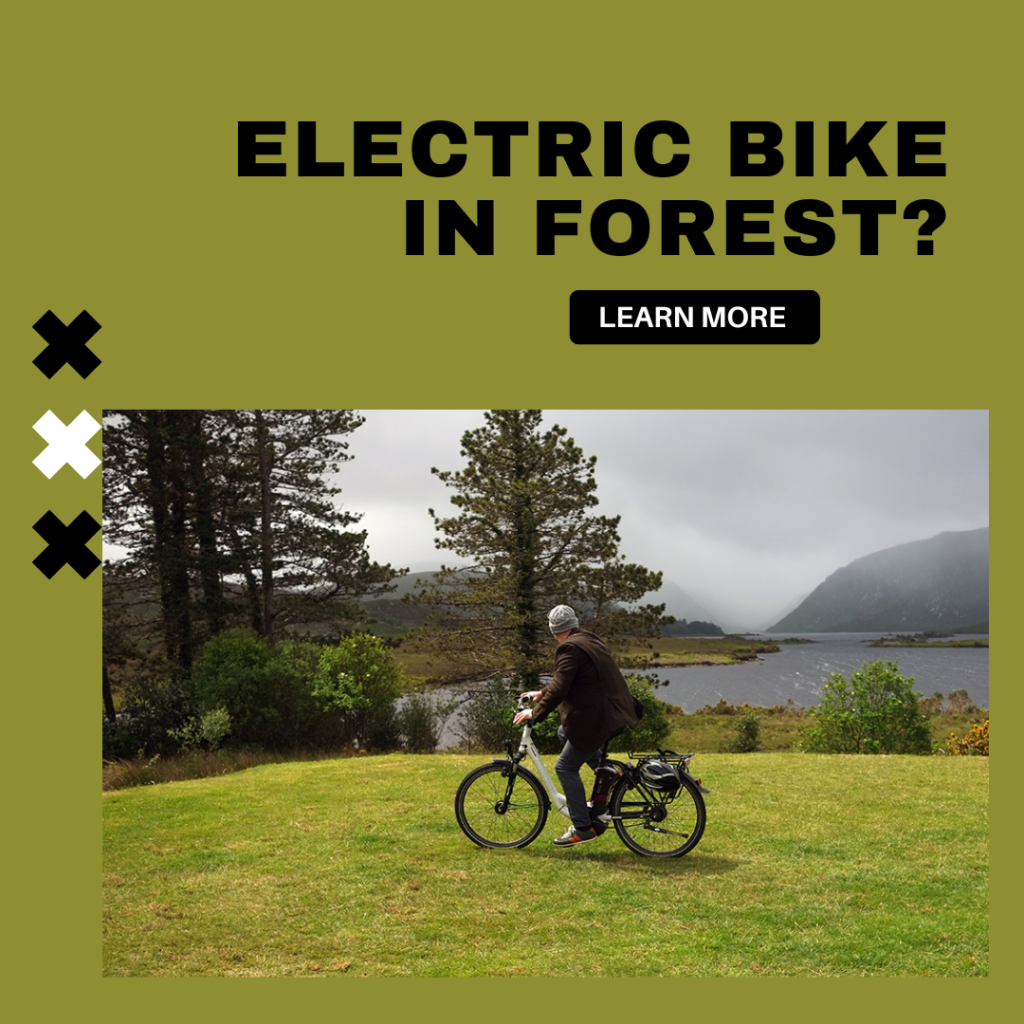 electric bike in forest