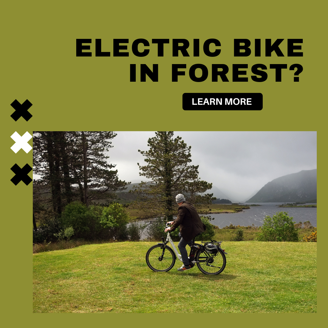 electric bike in forest