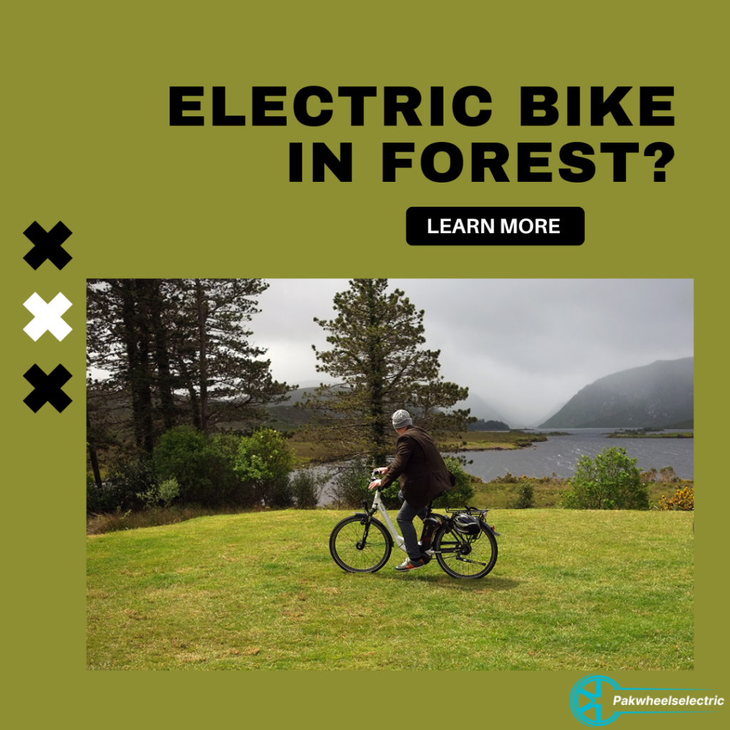 E-bike in forest 