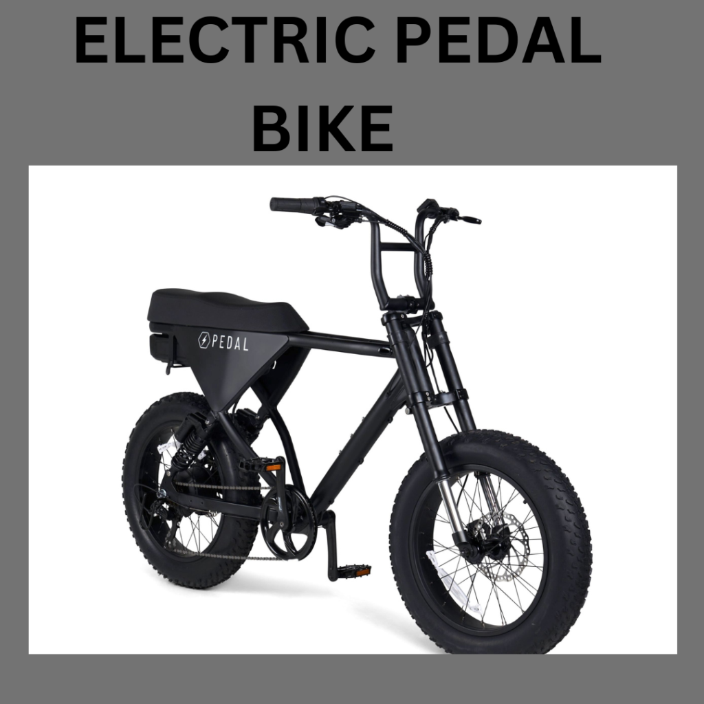 Electric pedal bike