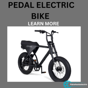 Electric Bike Conversion kit