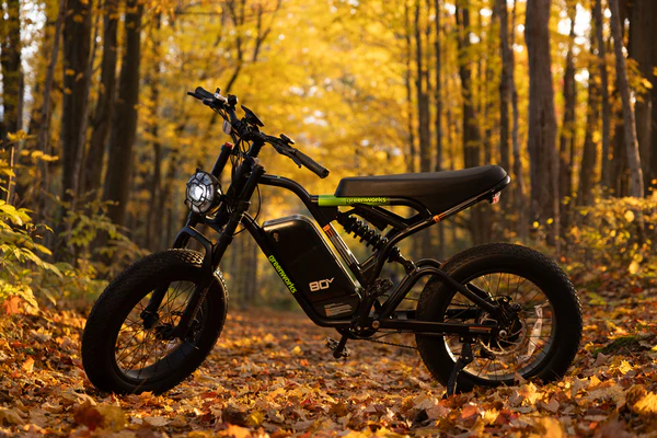 80V bike
