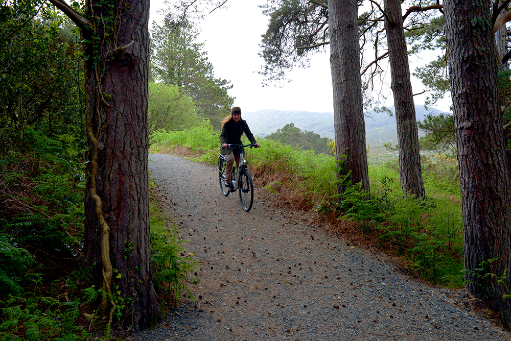 E-bike in forest 